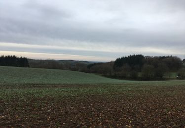 Randonnée Marche Durbuy - Adeps Borlon 2019 - Photo