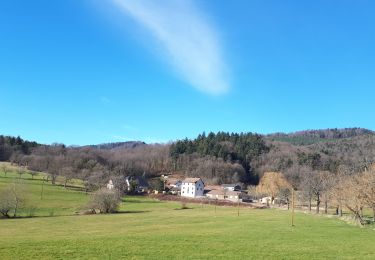 Tour Wandern Egisheim - marbach osenburh schauenberg marbach - Photo