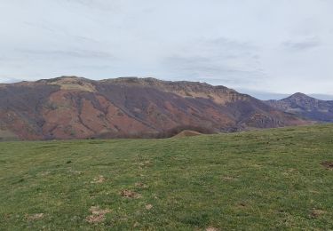 Randonnée Marche Mandailles-Saint-Julien - le courpou sauvage  - Photo