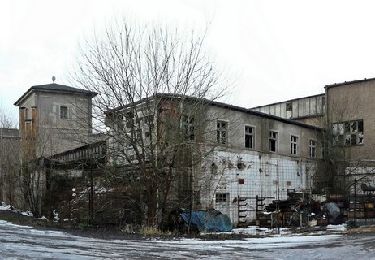 Percorso A piedi Bahretal - Grüner Punkt - Photo