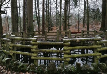 Tocht Stappen Hargarten-aux-Mines - randonnée du mardi - Photo