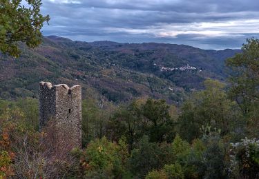 Tocht Te voet San Marcello Piteglio - Cammino di S. Bartolomeo - Photo