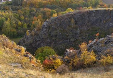 Tour Zu Fuß  - [Č] Baba - Šárka, okruh - Photo