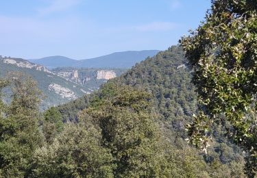 Percorso Marcia Draguignan - Sentier de découverte et Mare Colle - Photo