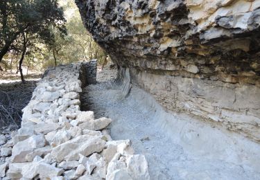 Excursión Senderismo Bédoin - PF-Bédoin - Combe de Curnier - Photo