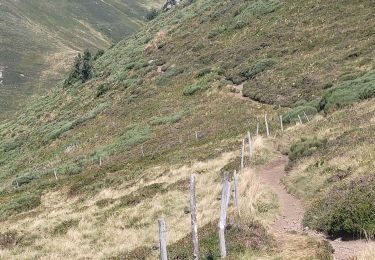 Trail Walking Saint-Jacques-des-Blats - spot CC du lioran puy mary - Photo