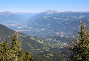 Excursión A pie Tisens - Tesimo - Wanderweg 12 - Photo