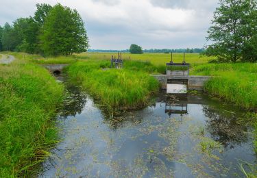 Trail On foot Alt Zauche-Wußwerk - weg Wußwerk-Caminchen- Waldow-Mochow-Mochowsee - Photo