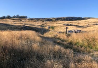 Tocht Stappen Bouvante - Font d’Urle les Trois cloches Glacières les Gagères  - Photo