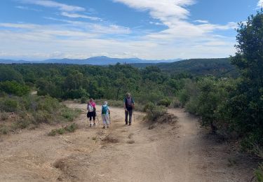 Trail Walking Roquebrune-sur-Argens - Pic Bourete - Photo