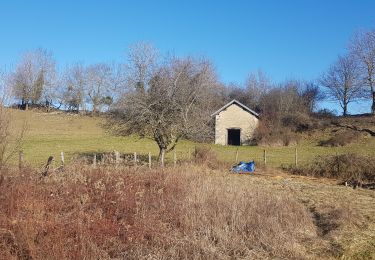 Tour Wandern Parves-et-Nattages - parves - Photo