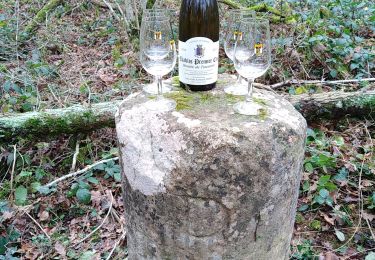 Tocht Stappen Montigny-la-Resle - Borne Cistercienne 10 - Photo