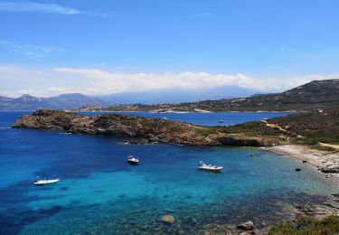 Tocht Stappen Calvi - la revelata - Photo