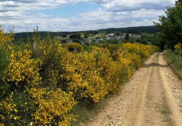 Trail Walking Chiny - Suxy - Photo