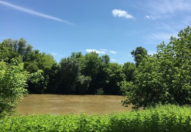 Tour Wandern Mées - Circuit des Barthes Neuves Mées le 8juin 2019 - Photo