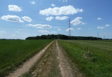 Trail Walking Namur - gelbressée 020923 - Photo