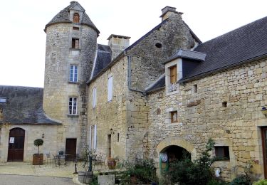 Tour Zu Fuß Jayac - Boucle de la Forêt - Photo