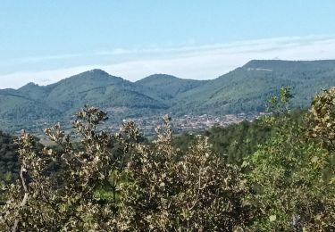 Trail Walking Pierrefeu-du-Var - La Portanière (demi-journée) 27-10-23 - Photo