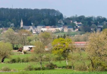 Randonnée Marche Belforêt-en-Perche - La Perrière - Mortagne-au-Perche (TCP) 29 km - Photo