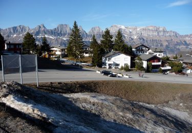 Randonnée A pied Flums - Tannenboden - Seebenalp - Photo