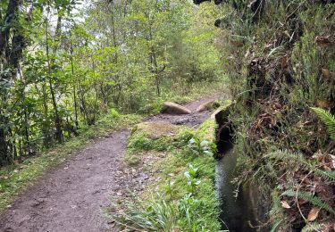 Trail Walking São Roque do Faial - Le long de la levada do Furado - Photo