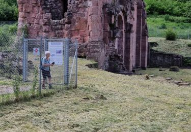 Excursión Senderismo Saint-Nabor - ARCA NIEDERSMUNSTER MT STE ODILE - Photo