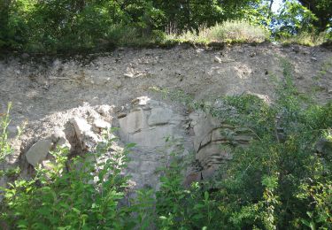 Percorso A piedi Ludwigsburg - DE-SAV Rotes Kreuz, Lemberg-Poppenweiler - Photo