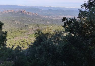 Tocht Stappen Roquebrune-sur-Argens - Village vieux revest - Photo