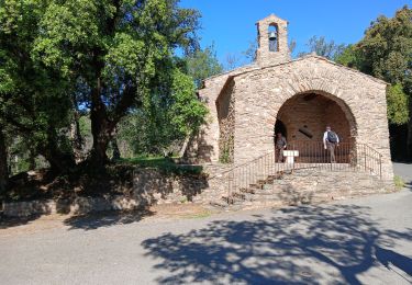 Trail Walking La Garde-Freinet - La Mourre, La Garde-Freinet-22-05-24 - Photo