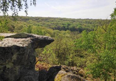 Randonnée Marche Ballancourt-sur-Essonne - ballancourt - Photo