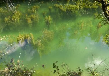 Trail Walking Dompierre-sur-Mer - rompsay_08-2020 - Photo