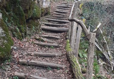 Trail Walking Bagnères-de-Luchon - Bagnêres  de Luchon et les hauteurs de la Vallée de l'One - Photo