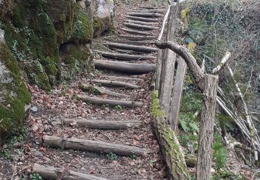 Randonnée Marche Bagnères-de-Luchon - Bagnêres  de Luchon et les hauteurs de la Vallée de l'One - Photo