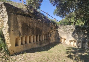 Trail Walking Montfrin - Montfrin - Palisse  - Photo