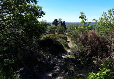 Tour Wandern Aumessas - Aumessas-27-05-21 - Photo