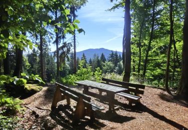 Tour Zu Fuß Tröstauer Forst-West - Tröstau - Hohe Matze - Photo