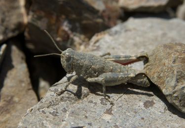 Percorso A piedi  - Cheeseman-Olympus Traverse - Photo