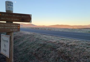 Tocht Stappen Mas-de-Londres - Linéaire de Mas de Londres à Saint Bauzille de Putois par le GR 60 - Photo