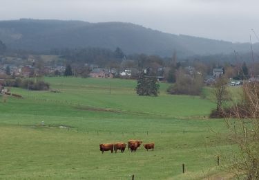 Trail Walking Rochefort - naar han - Photo