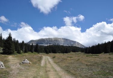 Trail Walking Saint-Agnan-en-Vercors - Aiguillette ou Petit Veymont par la Coche - Grande Cabane - Photo