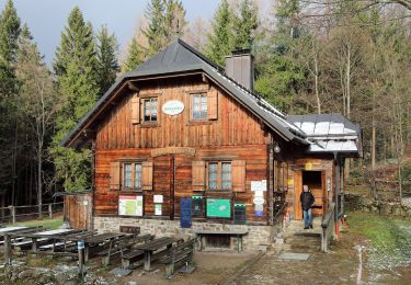 Percorso A piedi Gemeinde Hainfeld - Glashütte - Thomasberg - Bernau - Hainfeld - Photo