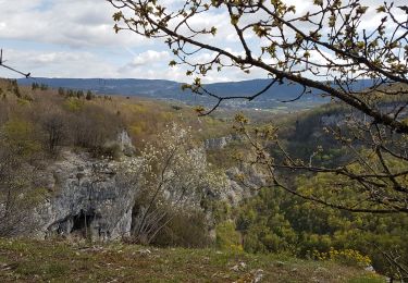 Percorso Marcia Plateau d'Hauteville - Nantuy La Berche - Photo