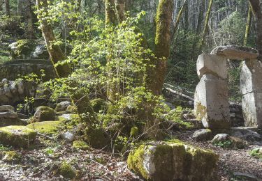 Trail Walking Plateau-des-Petites-Roches - St Hilaire du Touvet_Moulin de Porte-Traine_Cascade des Dioux - Photo