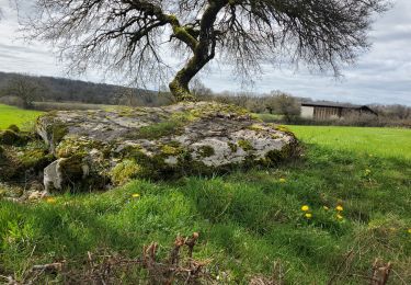 Tocht Stappen Issendolus - Chemin des gariottes - Photo