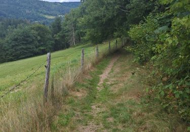 Trail Walking Rochesson - boucle rochesson - cascade du battion - rocher de la vierge - saut du bouchot - rochesson  - Photo