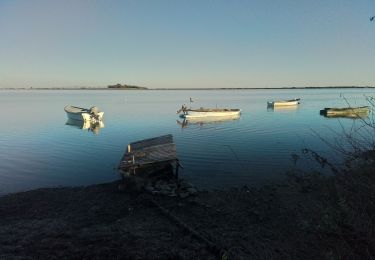 Tour Wandern Villeneuve-lès-Maguelone - Villeneuve les Salins - Photo
