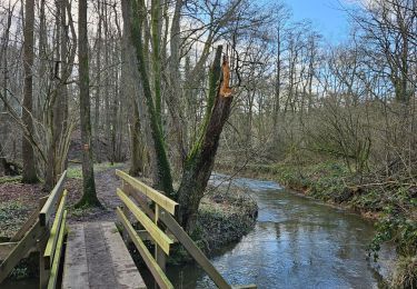 Excursión Senderismo Raeren - A la découverte de Lichtenbusch 🥾 - Photo