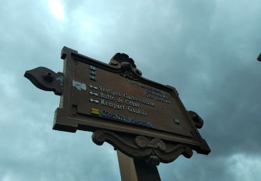 Trail Walking Amboise - Amboise  - Photo
