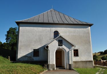 Excursión A pie okres Banská Bystrica - SK-8698M - Photo