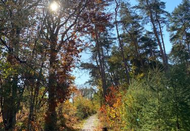 Randonnée Marche Genappe - Bois de Ways Ruart, à l’envers - Photo